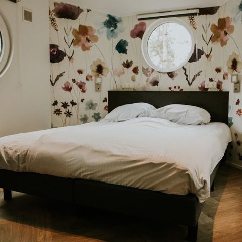 Lodge 5 personen - Lodge Happy bee lodge