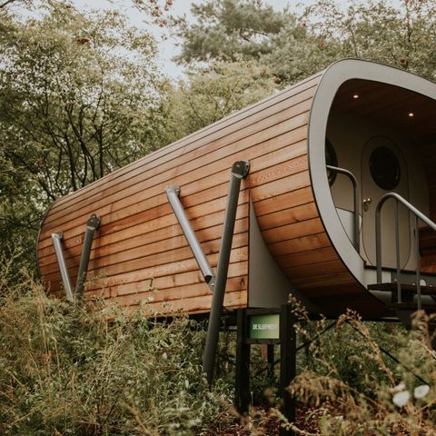 Accommodatie 4 personen - Boomhut Skycabin Sluipwesp