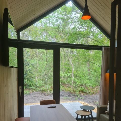 UNIEKE ACCOMMODATIE 4 personen - Tiny house