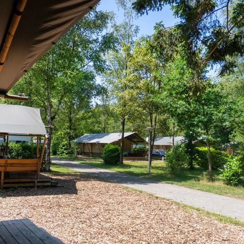 Vodatent Camping de Zeven Heuveltjes - Borger-Odoorn - Afbeelding N°6