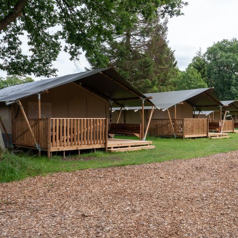 Safaritent 4 personen - incl. sanitair