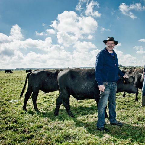 Vodatent Camping de Waterbuffelfarm  - Steenwijkerland - Afbeelding N°2