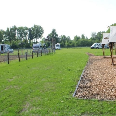 Vodatent Camping de Waterbuffelfarm  - Camping Steenwijkerland - Afbeelding N°2