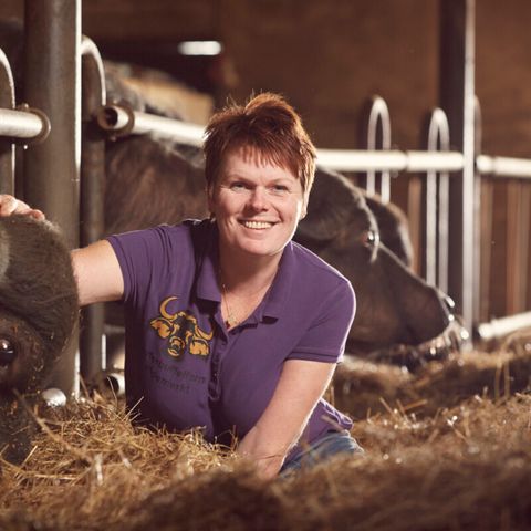 Vodatent Camping de Waterbuffelfarm  - Steenwijkerland - Afbeelding N°5