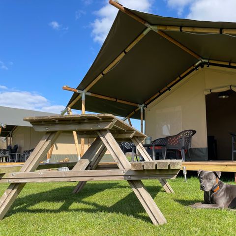 Vodatent Minicamping Falkenborg - Camping Berkelland - Afbeelding N°2