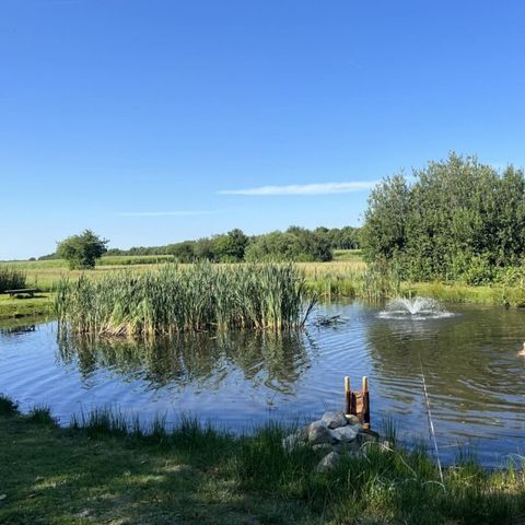 Vodatent Vakantiepark de Toffe Peer - Camping De Wolden - Afbeelding N°4
