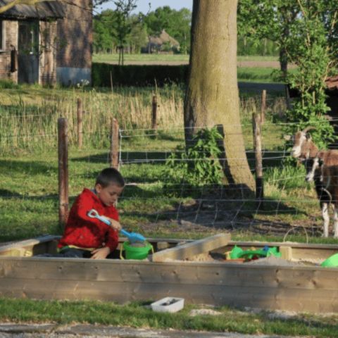 Vodatent Vakantiepark de Toffe Peer - Camping De Wolden - Afbeelding N°6