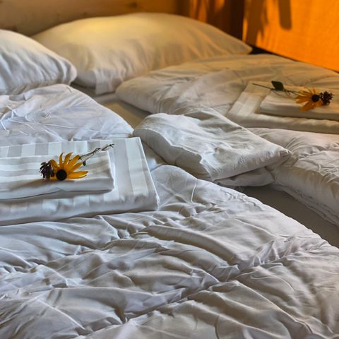 Safaritent 4 personen - incl. sanitair