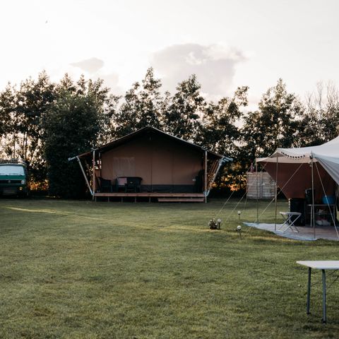 Vodatent Camping de Tulpenweide - Camping Hollands Kroon - Afbeelding N°2
