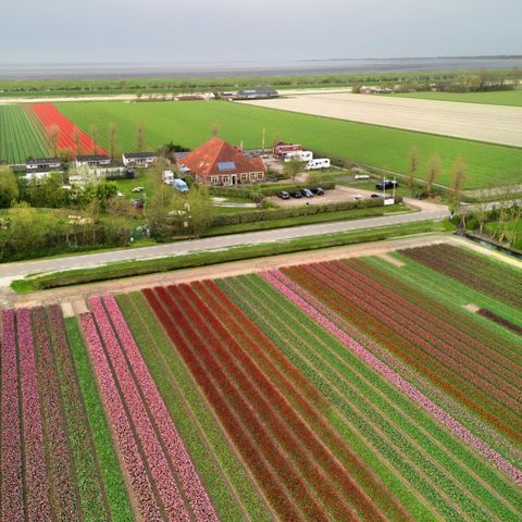 Vodatent Camping de Tulpenweide - Hollands Kroon - Afbeelding N°2