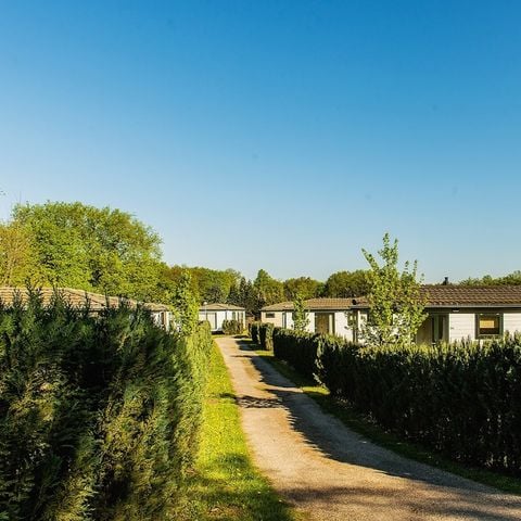 Recreatiepark Maas en Bos - Camping Bergen - Afbeelding N°6