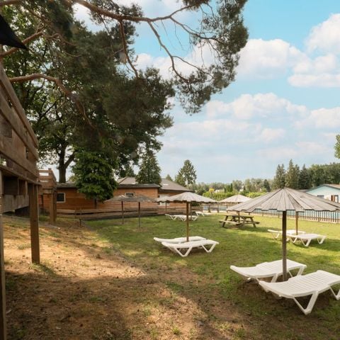 Recreatiepark Maas en Bos - Camping Bergen - Afbeelding N°4