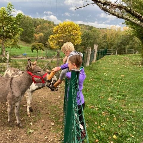 Vodatent Camping Fargogne - Tarn-et-Garonne - Afbeelding N°4