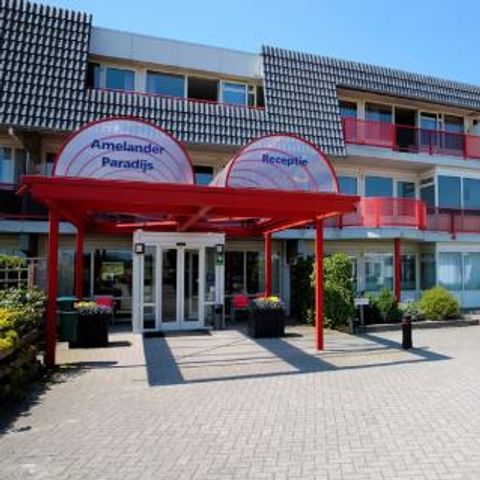 Amelander Paradijs - Camping Ameland - Afbeelding N°2