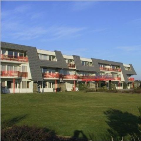 Amelander Paradijs - Camping Ameland - Afbeelding N°4