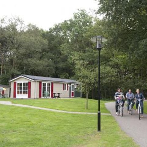 Bospark De Bikkels - Camping Deurne - Afbeelding N°3