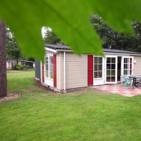 Bospark De Bikkels - Camping Deurne - Afbeelding N°2