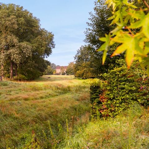 Summio Bungalowpark De Riethorst - Camping Mook und Middelaar - Afbeelding N°5