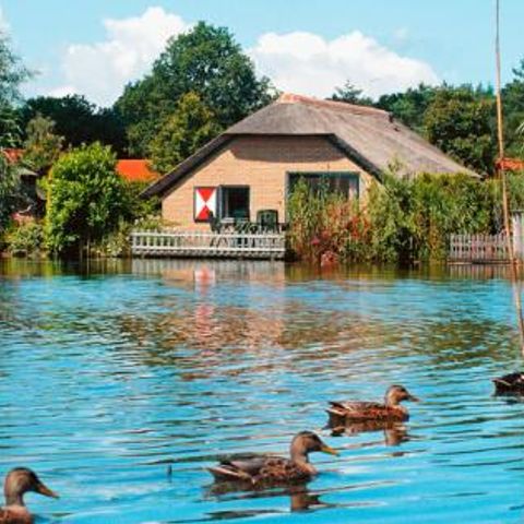 Landal De Veluwse Hoevegaerde - Camping Ermelo - Afbeelding N°3