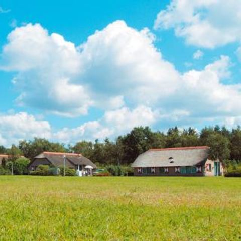 Landal De Veluwse Hoevegaerde - Camping Ermelo - Afbeelding N°5