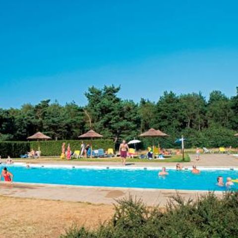 Landal De Veluwse Hoevegaerde - Camping Ermelo - Afbeelding N°2