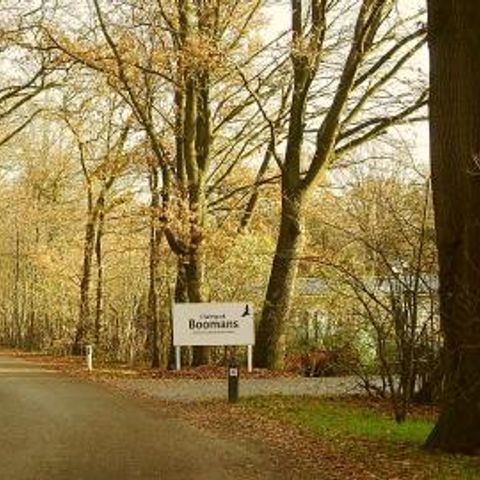 Chaletpark Boomans - Camping Doetinchem - Afbeelding N°5