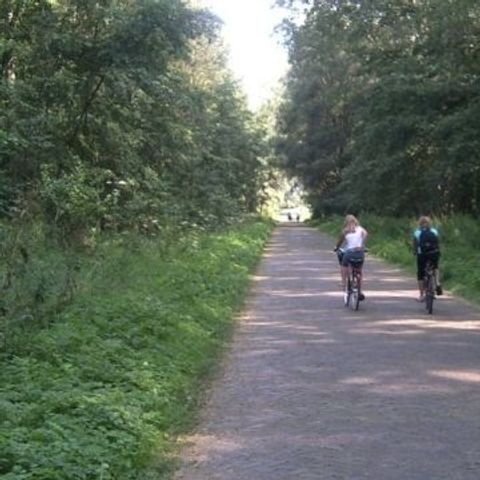 Chaletpark Boomans - Camping Doetinchem - Afbeelding N°2