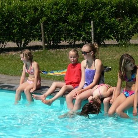 Camping Alkenhaer - Camping Ooststellingwerf - Afbeelding N°4