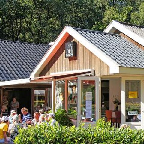 Camping Alkenhaer - Camping Ooststellingwerf - Afbeelding N°2