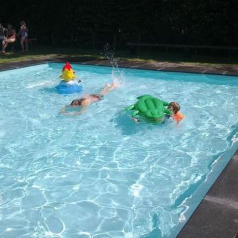 Camping Alkenhaer - Camping Ooststellingwerf - Afbeelding N°6