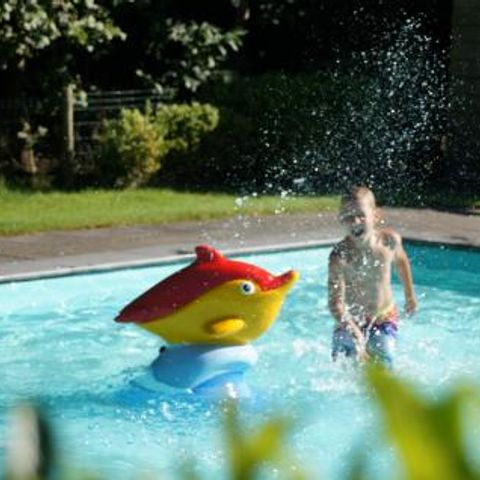 Camping Alkenhaer - Camping Ooststellingwerf - Afbeelding N°3