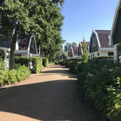 Residence Koningshof - Camping Bergen - Afbeelding N°2