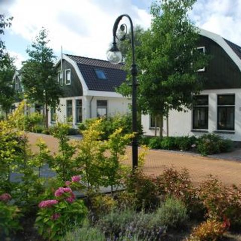 Residence Koningshof - Camping Bergen - Afbeelding N°3