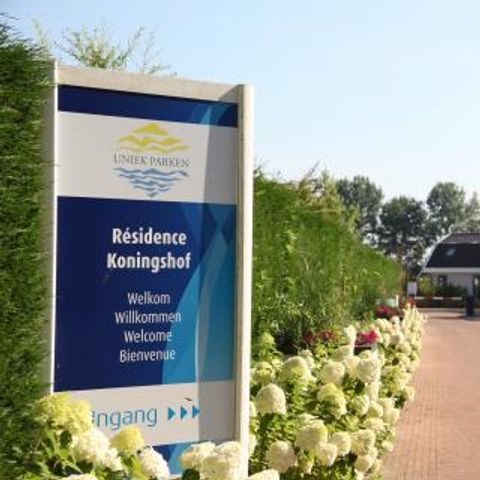 Residence Koningshof - Camping Bergen - Afbeelding N°5