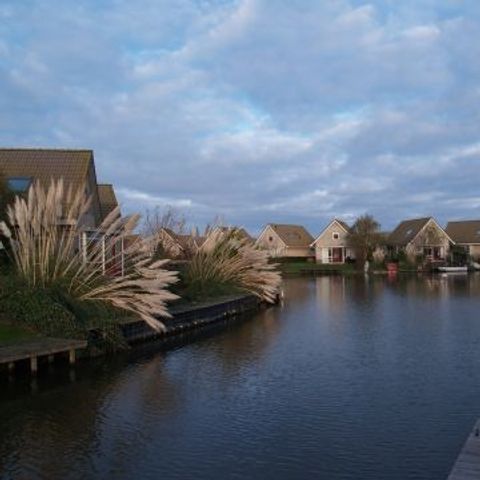 Bungalowpark Zuiderzee - Camping Medemblik - Afbeelding N°4