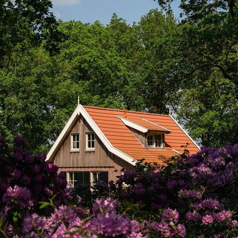 VAKANTIEHUIS 6 personen - De Bosuil
