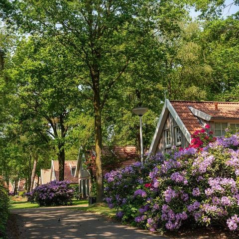 Buitengoed Het Lageveld - Camping Wierden - Afbeelding N°2