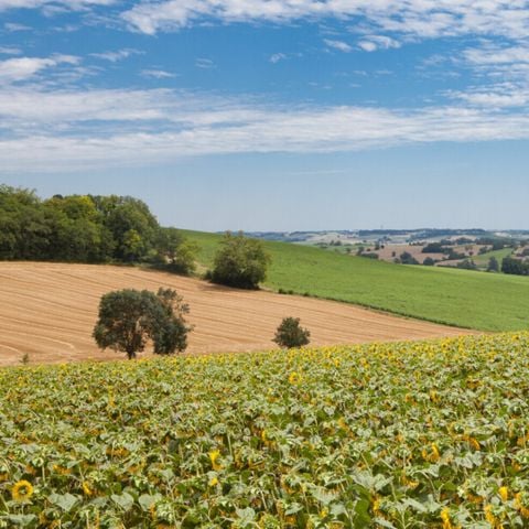 Vodatent Camping Le Camp de Florence - Gers - Afbeelding N°3