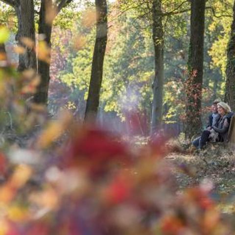 Vakantiepark De Kattenberg - Camping Winterswijk - Afbeelding N°5