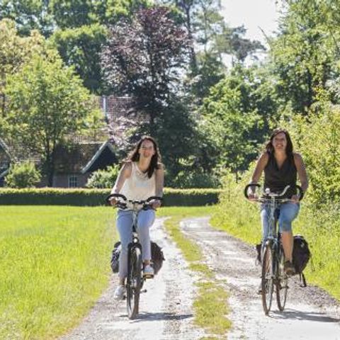 Vakantiepark De Kattenberg - Camping Winterswijk - Afbeelding N°3