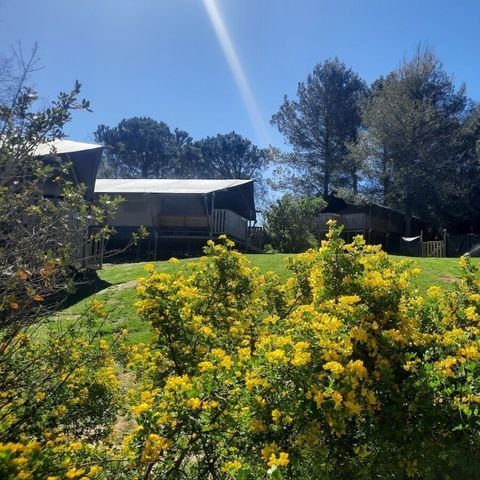 Vodatent Domaine La Sauzette - Aube - Afbeelding N°2