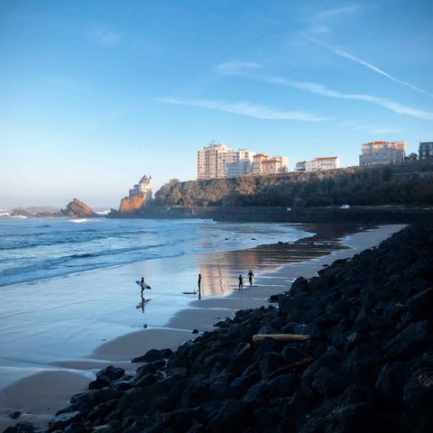 Wecamp San Sebastian - Gipuzkoa - Afbeelding N°6