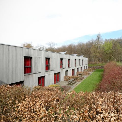 Corsendonk Sol Cress  - Camping Luik - Afbeelding N°3