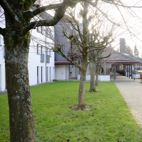 Corsendonk Sol Cress  - Camping Luik - Afbeelding N°6