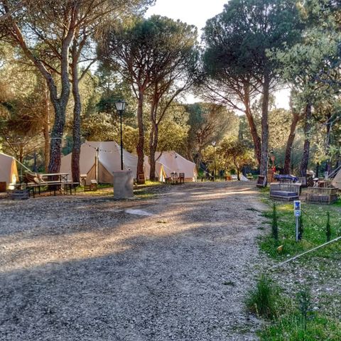 Kampaoh Cordoba - Camping Córdoba - Afbeelding N°3