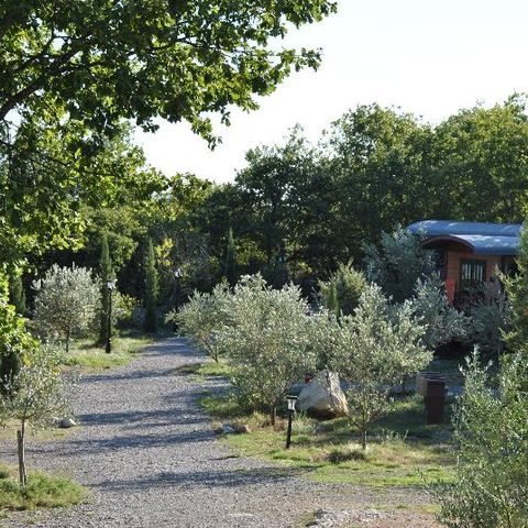 Lodge 4 personen - Roulotte (Familieverblijf) met airconditioning / zonder ontbijt / 5 pers inbegrepen / Privé spa optioneel