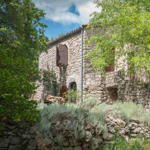 LANDHUIS 12 personen - Grand Mas ( grote gîte met privé zwembad ) / 12 personen inbegrepen