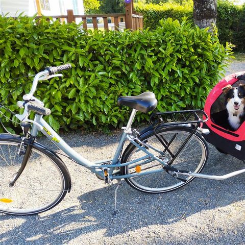 Camping Les Embruns - Camping Morbihan - Afbeelding N°3