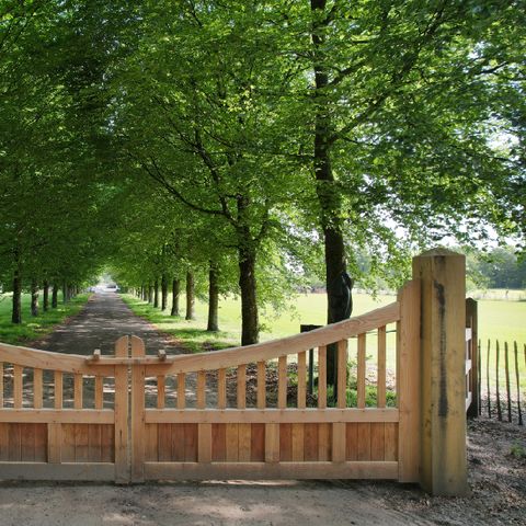 Landgoed oud Beekdal - Camping Ede - Afbeelding N°2