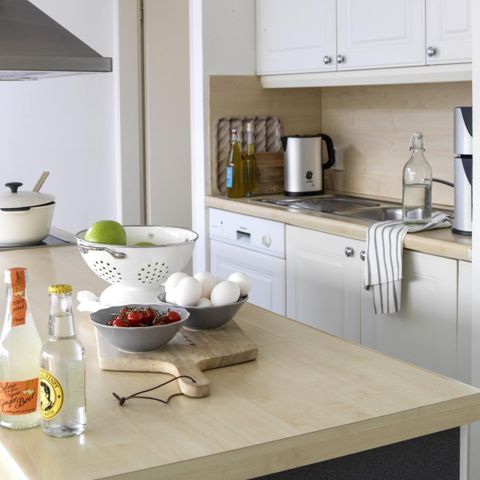 VAKANTIEHUIS 12 personen